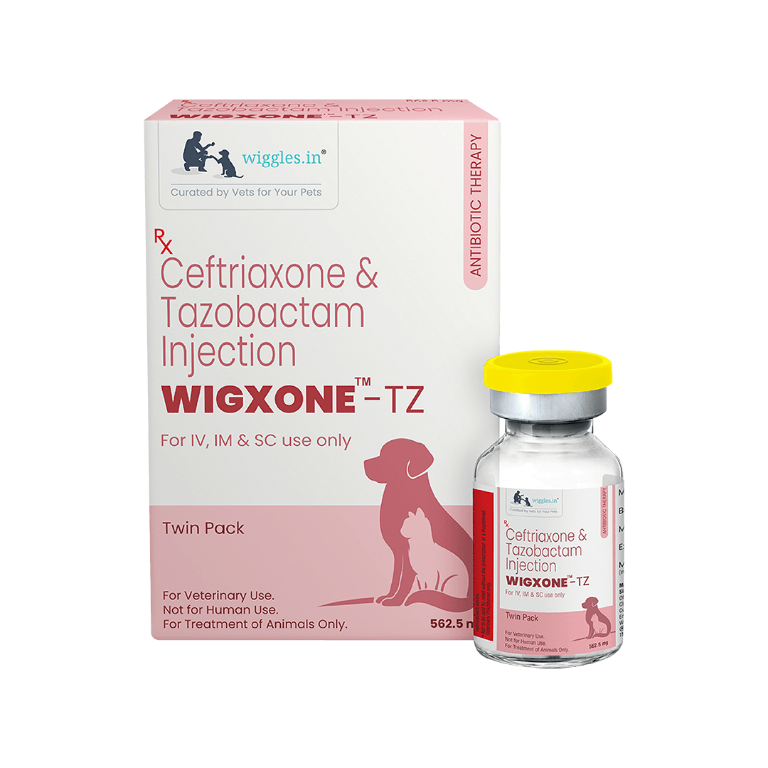 Wigxone-TZ™ INJ. 562.5 MG - Wiggles.in