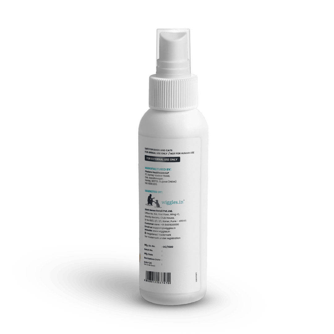 Can i use human dry shampoo on a dog Clearance