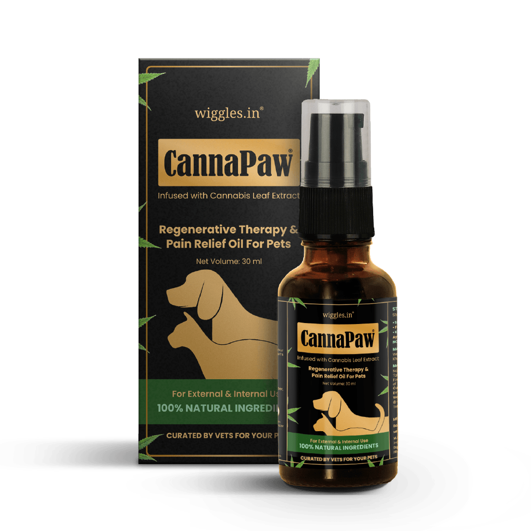 CannaPaw Oil, Vijaya leaf extract, Hemp oil, Regenerative Therapy & Pain Relief oil for Pets, 30ml - Wiggles.in