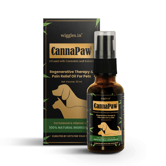 CannaPaw Oil, Vijaya leaf extract, Hemp oil, Regenerative Therapy & Pain Relief oil for Pets, 30ml - Wiggles.in