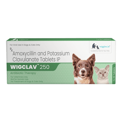 WIGCLAV™ 250 MG (10 TAB)