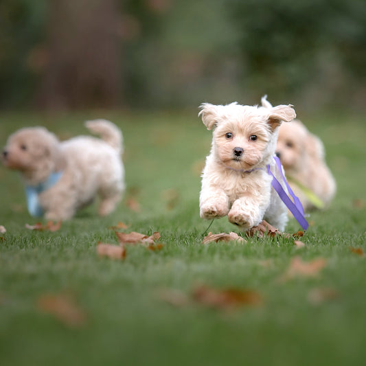 Daycare