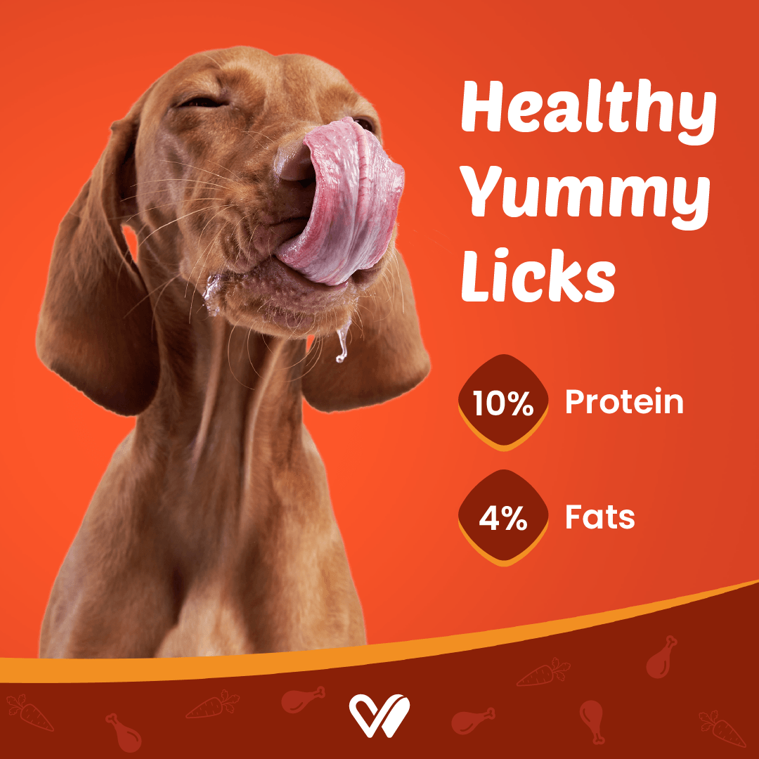 Treats for dogs and cats hotsell