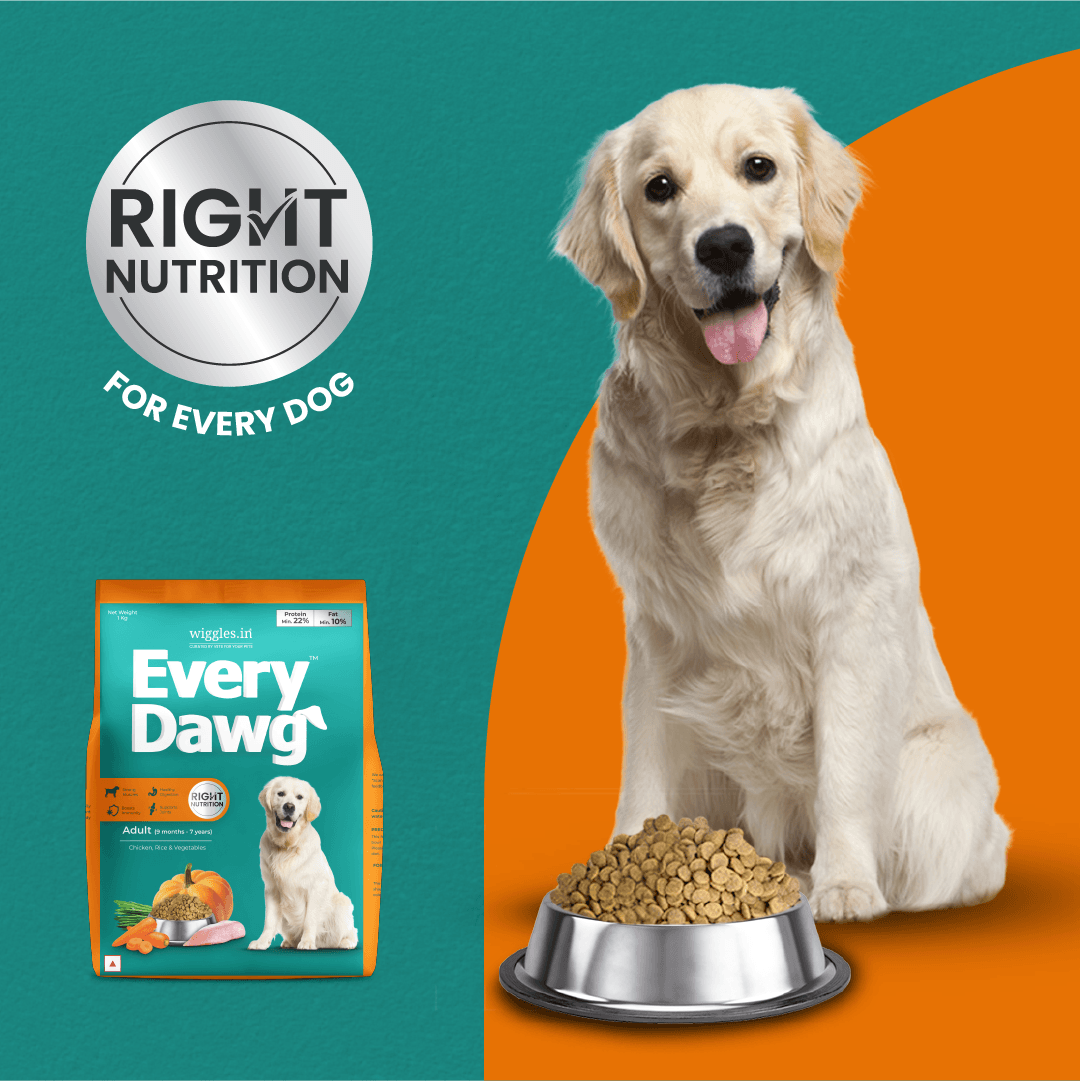 EveryDawg Adult Dry Dog Food - Chicken, Rice & Vegetables - Wiggles.in