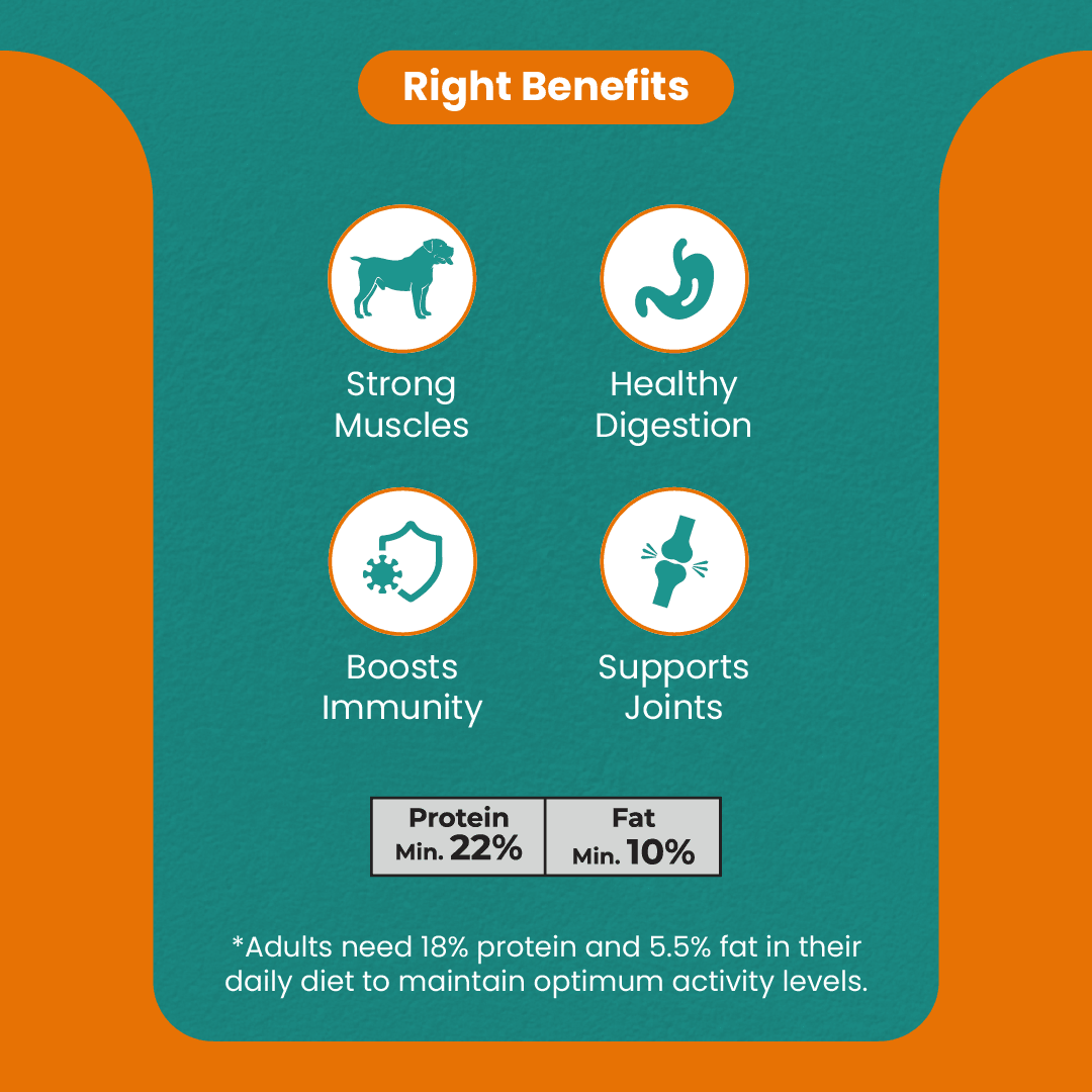 EveryDawg Adult Dry Dog Food - Chicken, Rice & Vegetables