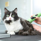 Hair Trimming (Cat)