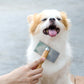 Deshedding (Dog)