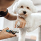 Nail Clipping / Grinding (Dog)