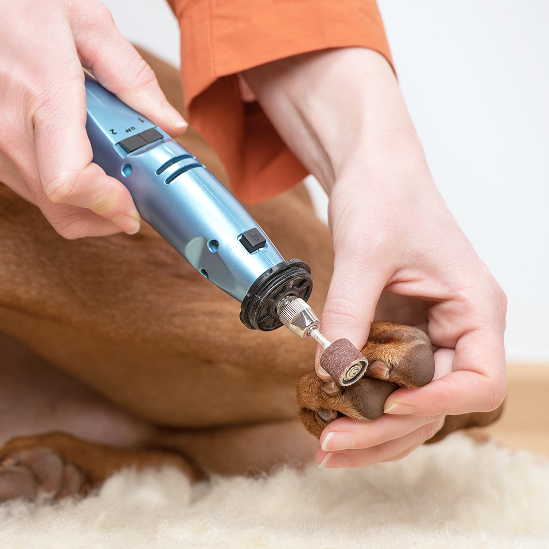 Nail Clipping / Grinding (Dog)