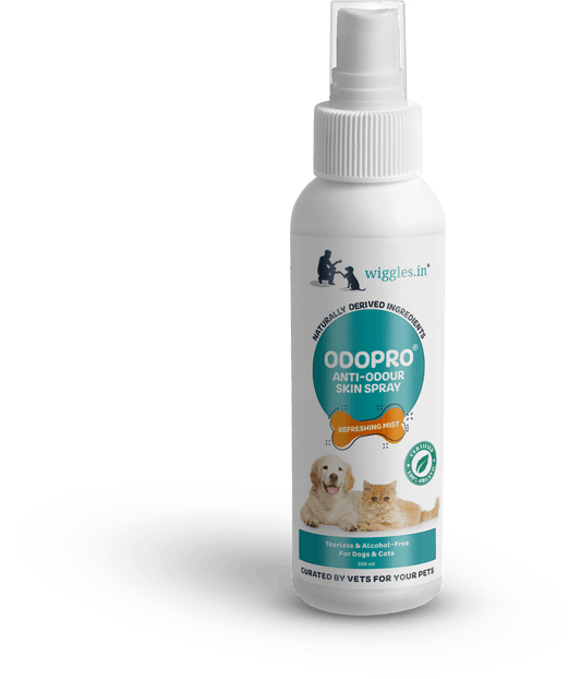Odopro Deodorant Spray for Dog, Cat, 200ml - Freshening Deodorizer Spray for Smelly Dogs - Wiggles.in