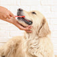 Teeth Brushing/Dental Spray (Dog)