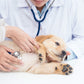 Wash & Wag Spa (Dog)
