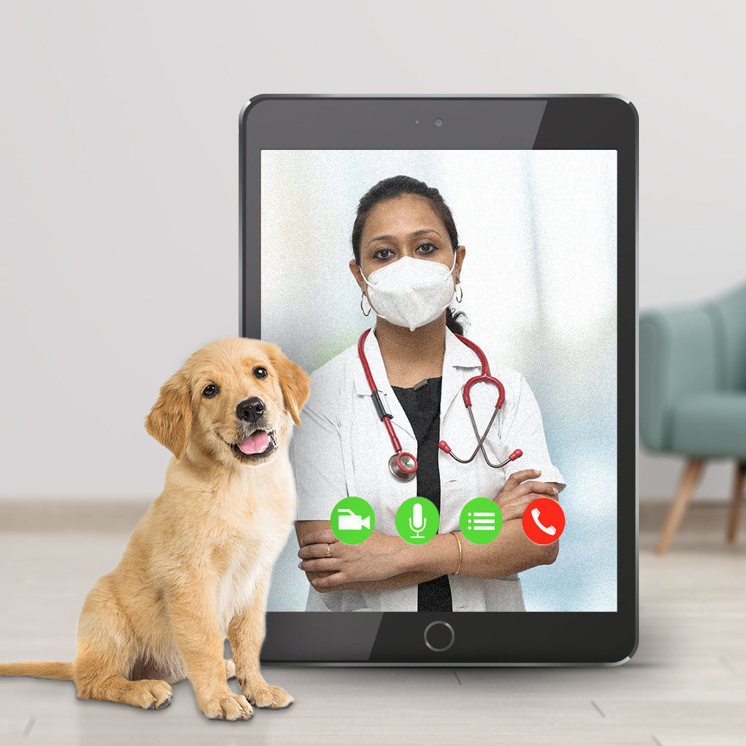 SmartVet - Prescribed Drugs