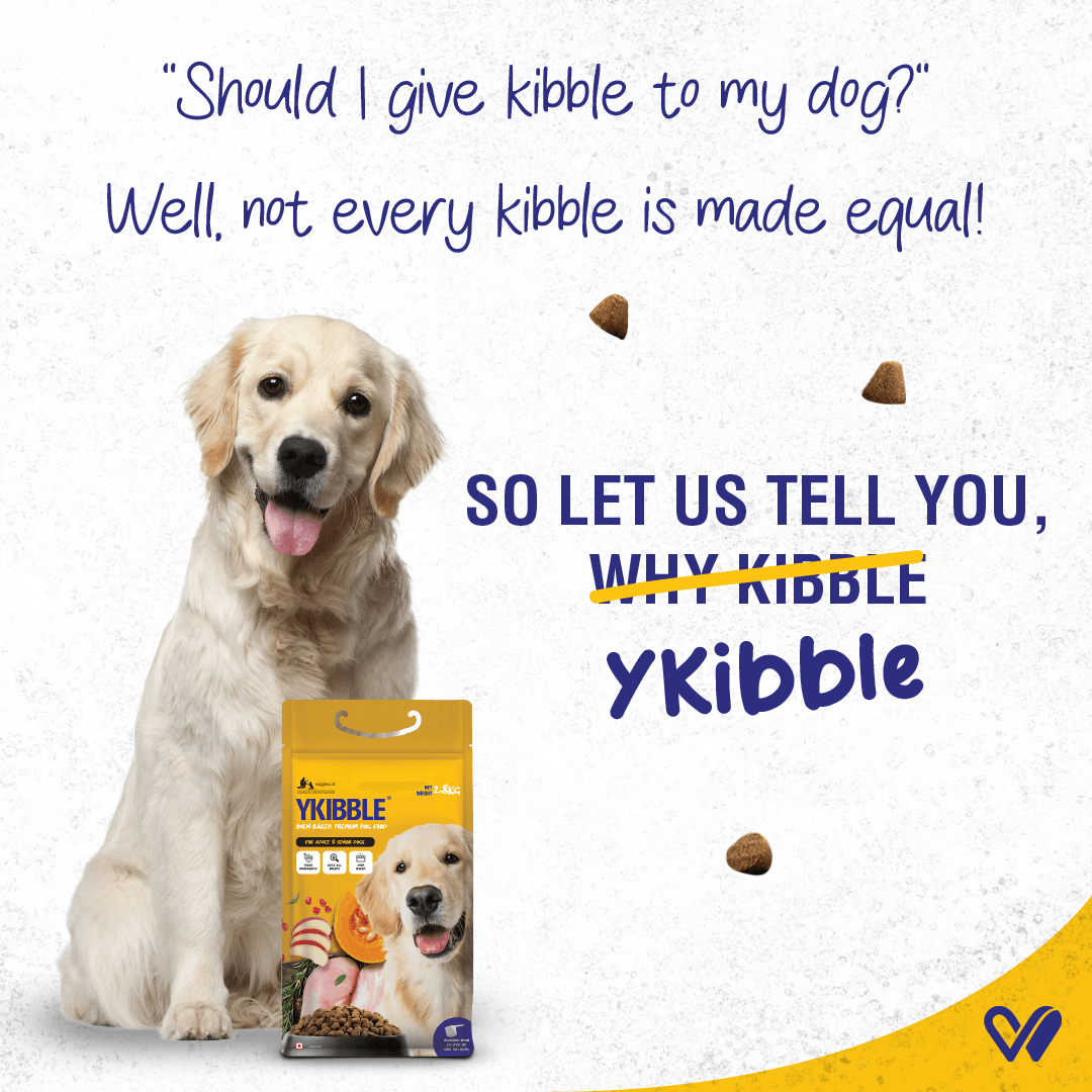 Ykibble Adult Dry Dog Food - Oven Baked Nutritionally Balanced - Chicken & Vegetables - Wiggles.in