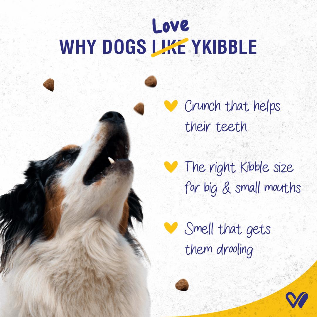 Ykibble Adult Dry Dog Food - Oven Baked Nutritionally Balanced - Chicken & Vegetables - Wiggles.in